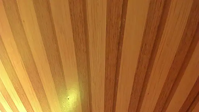 mia  blaze   online show from March 20, 2026, 3:11 am