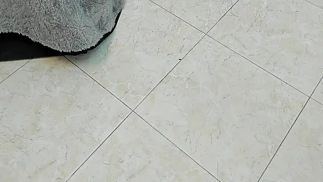 Amelia Brixton online show from January 14, 2026, 3:56 am