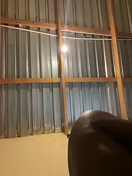 solodrive online show from February 24, 2026, 10:13 am