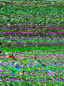 Dev2k22 online show from December 17, 2025, 6:14 pm