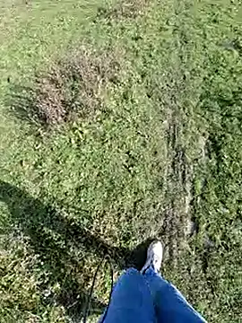 bbyxklaus online show from November 1, 2025, 12:18 pm