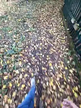 bbyxklaus online show from November 4, 2025, 10:36 am