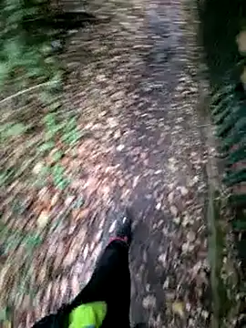 bbyxklaus online show from December 16, 2025, 2:11 pm