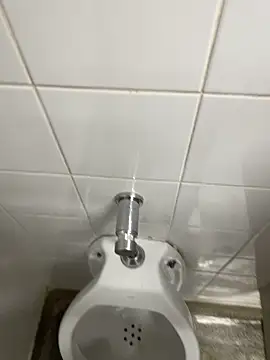 Snapshot of novinhosglbi chatting on November 4, 2025, 12:21 am novinhosglbi online show from November 4, 2025, 12:21 am