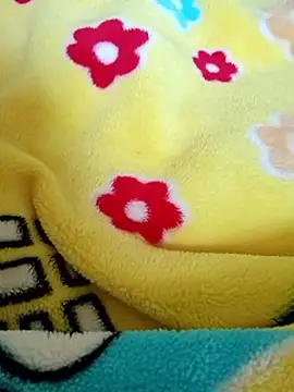 SandyAmr online show from February 25, 2026, 7:40 am