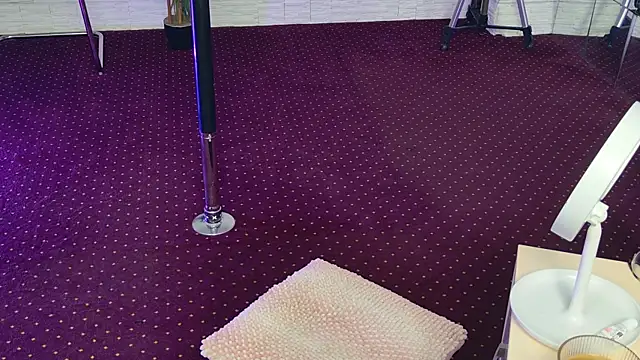 Snapshot of IvorySwan chatting on November 3, 2025, 5:52 am IvorySwan online show from November 3, 2025, 5:52 am