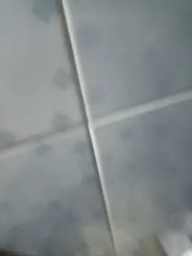 Snapshot of INTIMACY123 chatting on November 3, 2025, 2:57 am INTIMACY123 online show from November 3, 2025, 2:57 am