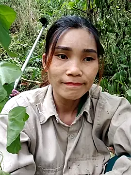 Bear bear0 online show from November 3, 2025, 7:31 am