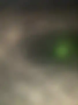 bart98geil online show from March 10, 2026, 11:37 am