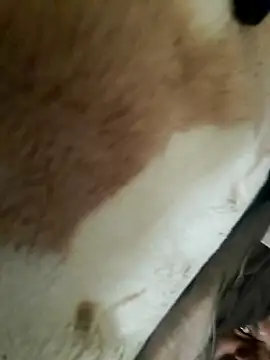 Perfect size online show from November 20, 2025, 8:58 am