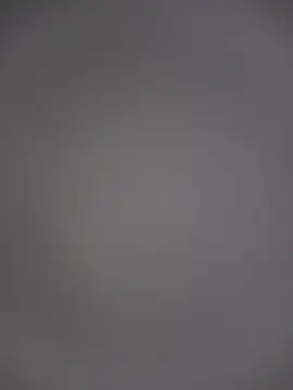 cutepussy356 online show from August 2, 2026, 8:24 am