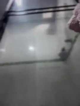 Violeet-Smith online show from March 27, 2026, 2:50 pm