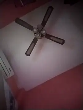 Snapshot of Danii2005 chatting on November 6, 2025, 1:34 pm Danii2005 online show from November 6, 2025, 1:34 pm