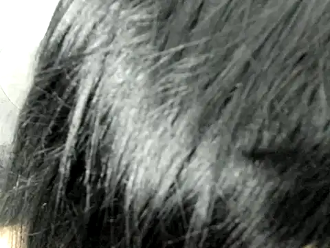 Amminna online show from November 29, 2025, 12:35 am