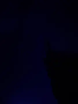 alfarabisami online show from June 10, 2026, 9:03 pm