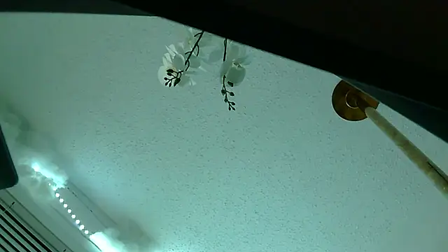 playxrated online show from April 10, 2026, 8:19 am