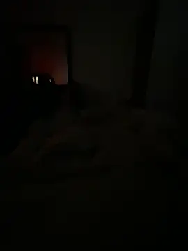 llllllllIIIll online show from February 17, 2026, 4:42 am