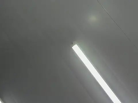 Gianna Johnson online show from November 23, 2025, 3:28 am