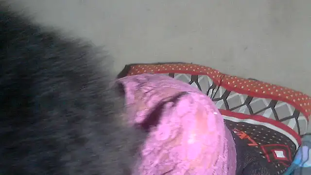 AdorableAfricanStar69 online show from November 13, 2025, 10:30 pm