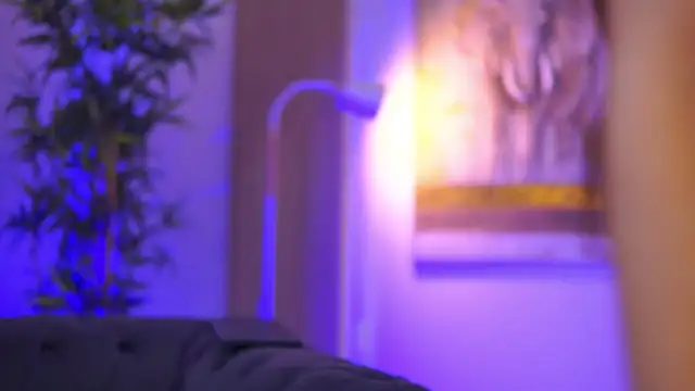 Aisha Bee online show from April 4, 2026, 8:45 am