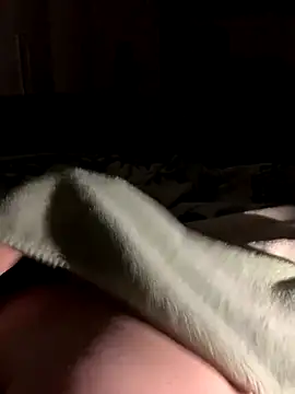 Snapshot of bfelipedasilva chatting on October 28, 2025, 1:31 am bfelipedasilva online show from October 28, 2025, 1:31 am