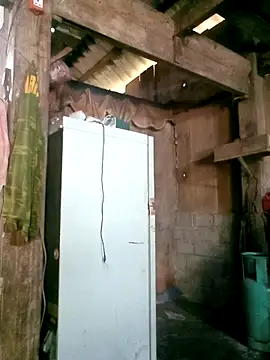 Noelle-e online show from March 25, 2026, 5:13 am