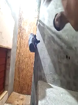 sanz957 online show from November 14, 2025, 3:49 am