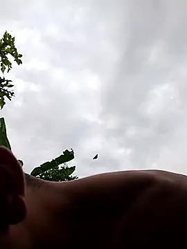 Snapshot of Alex_Sweeting chatting on January 12, 2026, 8:47 pm Alex Sweeting online show from January 12, 2026, 8:47 pm