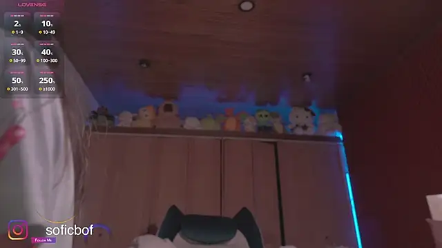 sofi sc online show from November 9, 2025, 2:26 pm