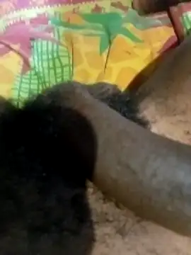 liketosex4 online show from February 17, 2026, 12:45 pm