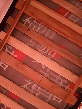 damian fort1 online show from November 17, 2025, 4:24 pm