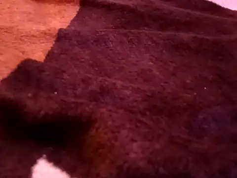 bigtelugubhama online show from February 7, 2026, 8:23 pm