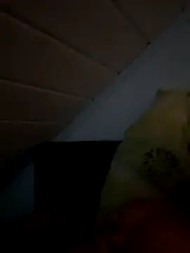 superbertok online show from November 20, 2025, 8:30 pm