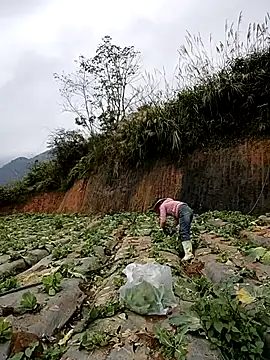 min nyny online show from November 21, 2025, 1:26 am