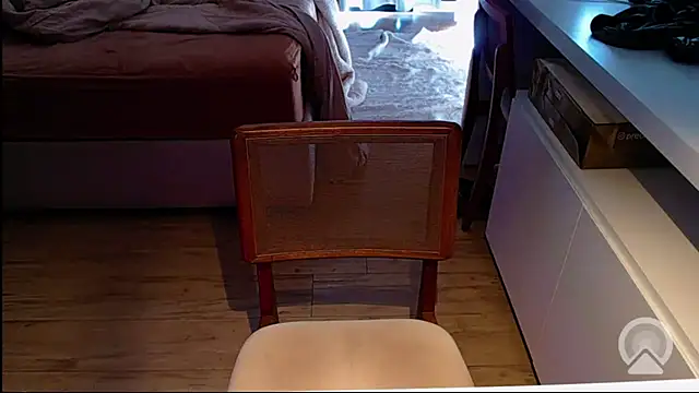 Snapshot of Professor__Discreto chatting on July 2, 2026, 4:13 pm Professor Discreto online show from July 2, 2026, 4:13 pm