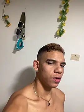 Dylams maja online show from November 11, 2025, 8:58 am