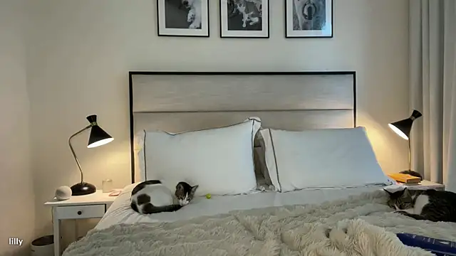 Itslillybloom online show from November 7, 2025, 4:23 am