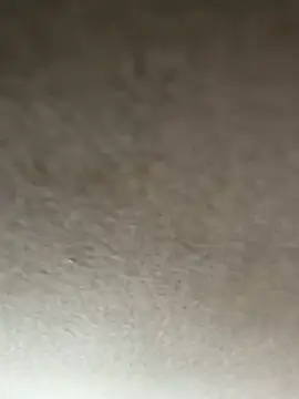 adamblunt59 online show from January 8, 2026, 9:33 am