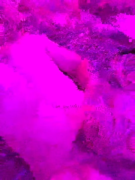 Snapshot of PitoDuroWuero chatting on November 27, 2025, 11:34 am PitoDuroWuero online show from November 27, 2025, 11:34 am