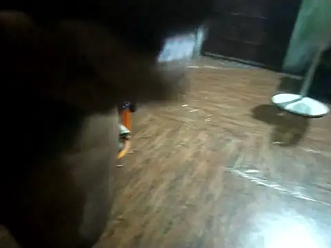 Snapshot of BdTinyDick chatting on November 11, 2025, 6:19 pm BdTinyDick online show from November 11, 2025, 6:19 pm