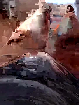 Snapshot of Vanja33 chatting on November 3, 2025, 3:35 pm Vanja33 online show from November 3, 2025, 3:35 pm