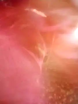 Jooli cuty online show from March 14, 2026, 2:28 am