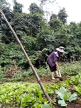 be-yeu online show from November 5, 2025, 2:22 am