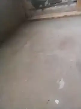 Lollittaxxxx2 online show from November 11, 2025, 10:15 am