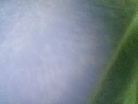 Snapshot of Ramzes1992Analog chatting on November 5, 2025, 1:05 am Ramzes1992Analog online show from November 5, 2025, 1:05 am