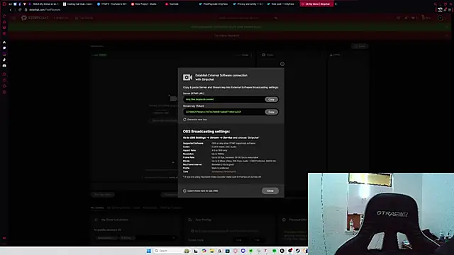 PixelPlaymate online show from November 5, 2025, 2:00 am