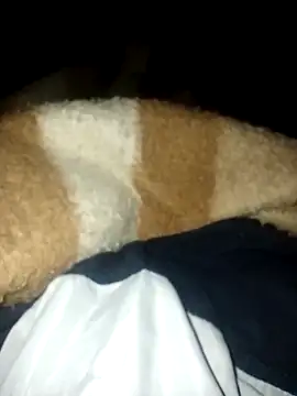 Snapshot of Azo3zgju chatting on November 23, 2025, 2:33 am Azo3zgju online show from November 23, 2025, 2:33 am