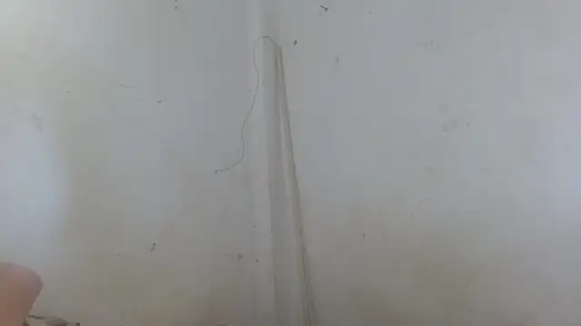 the breasts of desir  online show from November 11, 2025, 1:55 pm