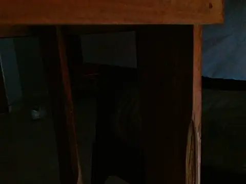 Dangerhook online show from November 24, 2025, 11:32 am