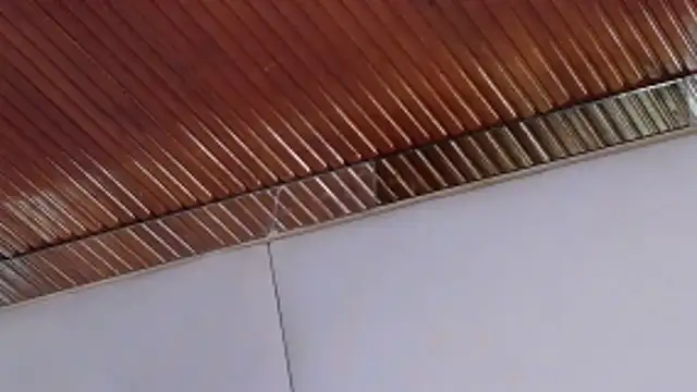 Snapshot of LannyShell chatting on February 26, 2026, 5:23 pm LannyShell online show from February 26, 2026, 5:23 pm